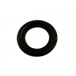 Carterplug ring (50)