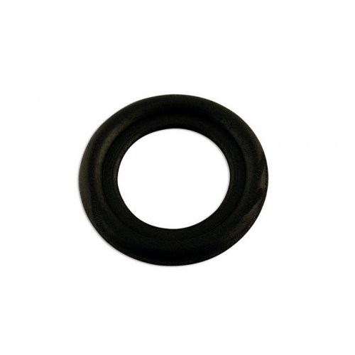 Carterplug ring (50)