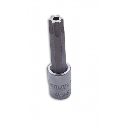 Bit TR Torx  T80